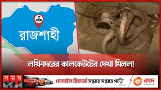 রাজশাহী বিভাগে বেড়েছে সাপের উপদ্রব | Poisonous Snakes in Rajshahi | Somoy TV