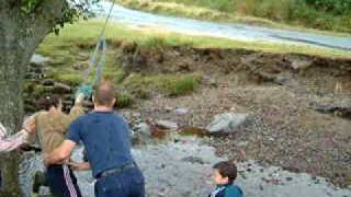 Shaeigh Screaming On The Tarzie