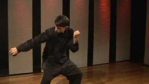 Praying Mantis Kung Fu: Outside Forearm Block Counter Punch Step Up