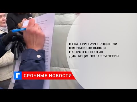 В Екатеринбурге родители школьников вышли на протест против дистанционного обучения