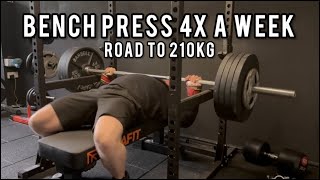 Benching 4x a Week to Hit 210KG | 140KG Paused Bench 4x6 