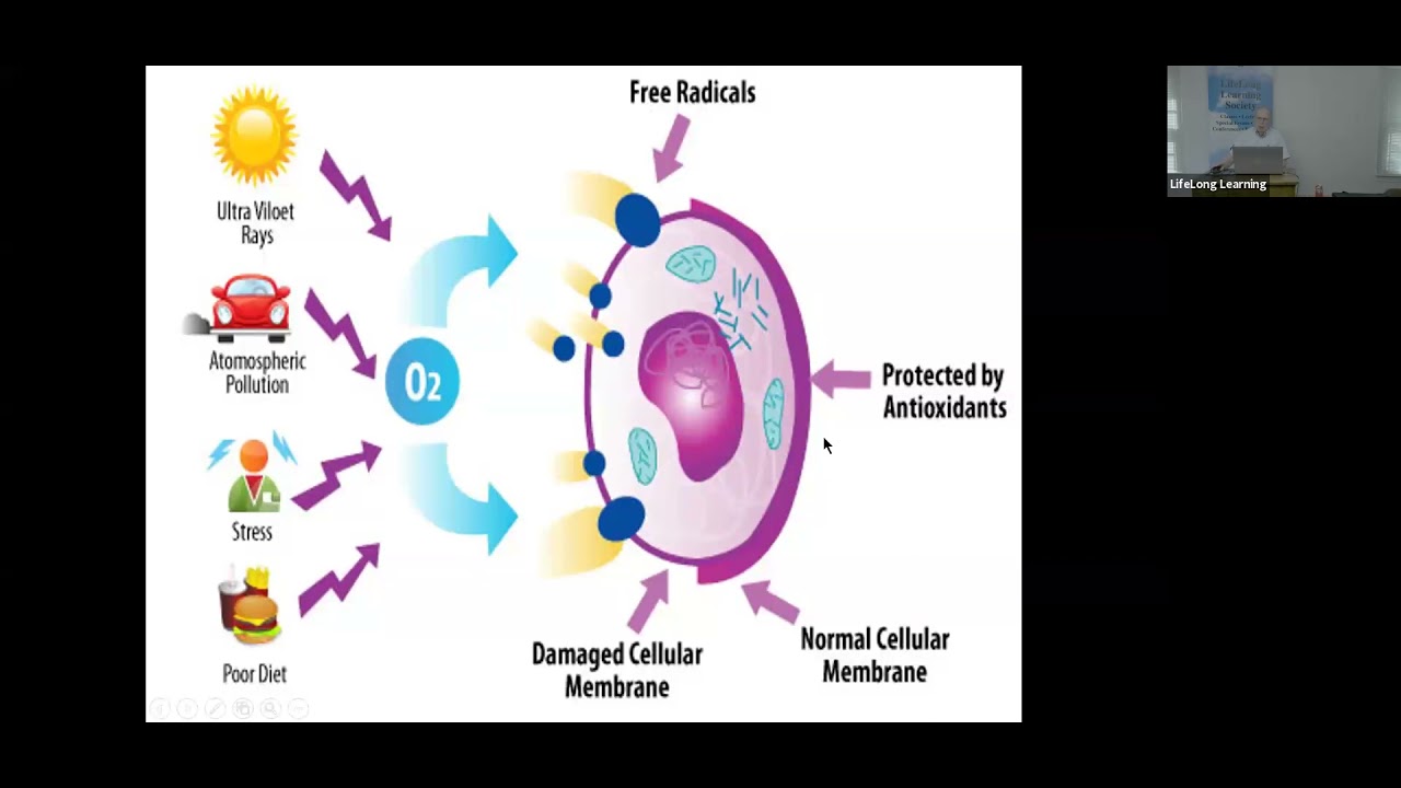 The Most Aged Brain with Dr. Bill Peach