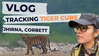 Finding Tiger Cubs: Part 1 | Monsoon Special | Jhirna, Corbett | Safari Vlog- 4