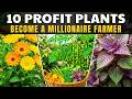 10 Profitable Plants That Will Make You a millionaire (That Nobody’s Growing) | The Forgotten Garden