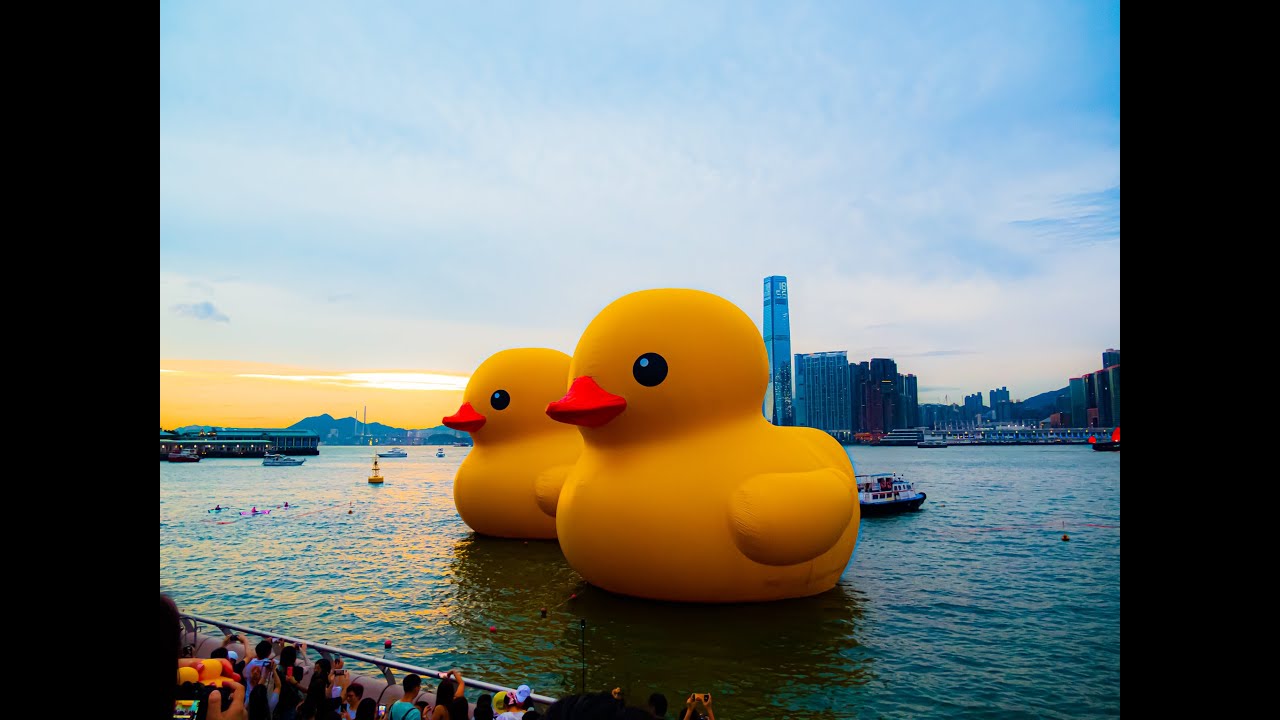 yellow duck YouTube