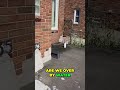 House hunting in Detroit for cheap properties