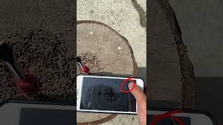 mengukur arah kiblat dengan apk sun kibla
