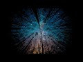 free , Night , forest,trees , with , sky ,and stars , HD 4K