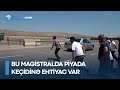 Bu magistralda piyada keçidinə ehtiyac var