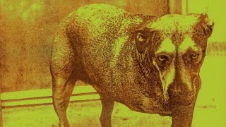 Alice In Chains - Heaven Beside You