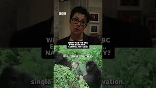 What has the BBC ever done for Natural History