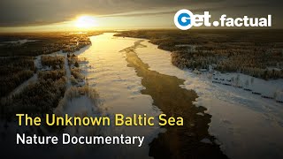 Wild Baltic Sea  Between Finland and Sweden | Nature Documentary