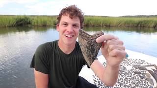 Found Huge Megalodon Shark Teeth While Diving The Cooper River!