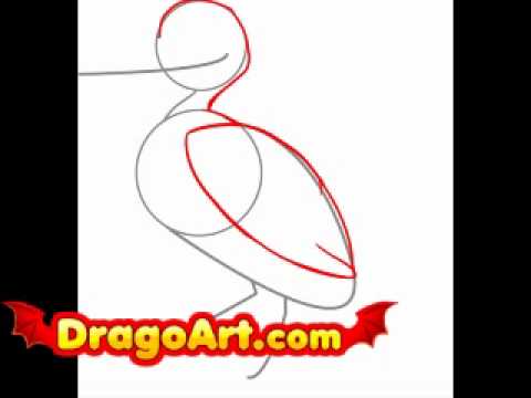 How to draw a seagull, step by step - YouTube