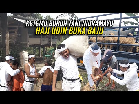 HAJI UDIN LEPAS BAJU YG DIPAKAINYA SAAT BERTEMU BURUH TANI INDRAMAYU T3L4NJ4NG DADA