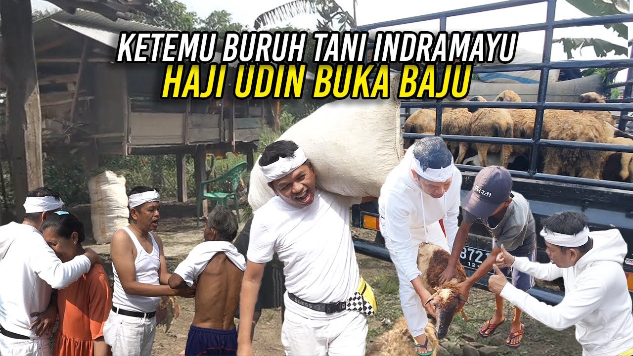 HAJI UDIN LEPAS BAJU YG DIPAKAINYA SAAT BERTEMU BURUH TANI INDRAMAYU T3L4NJ4NG DADA