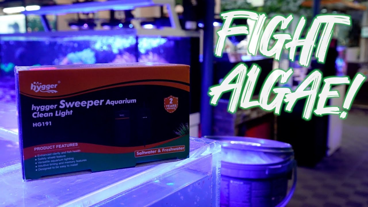 РАСПАКОВКА И ОБЗОР HYGGER SWEEPER AQUARIUM CLEAN LIGHT | ВОПРОСЫ И ОТВЕТЫ С ДЖЕЙСОНОМ