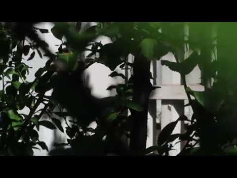 Sophie Jamieson - Runner (Official Visualiser)
