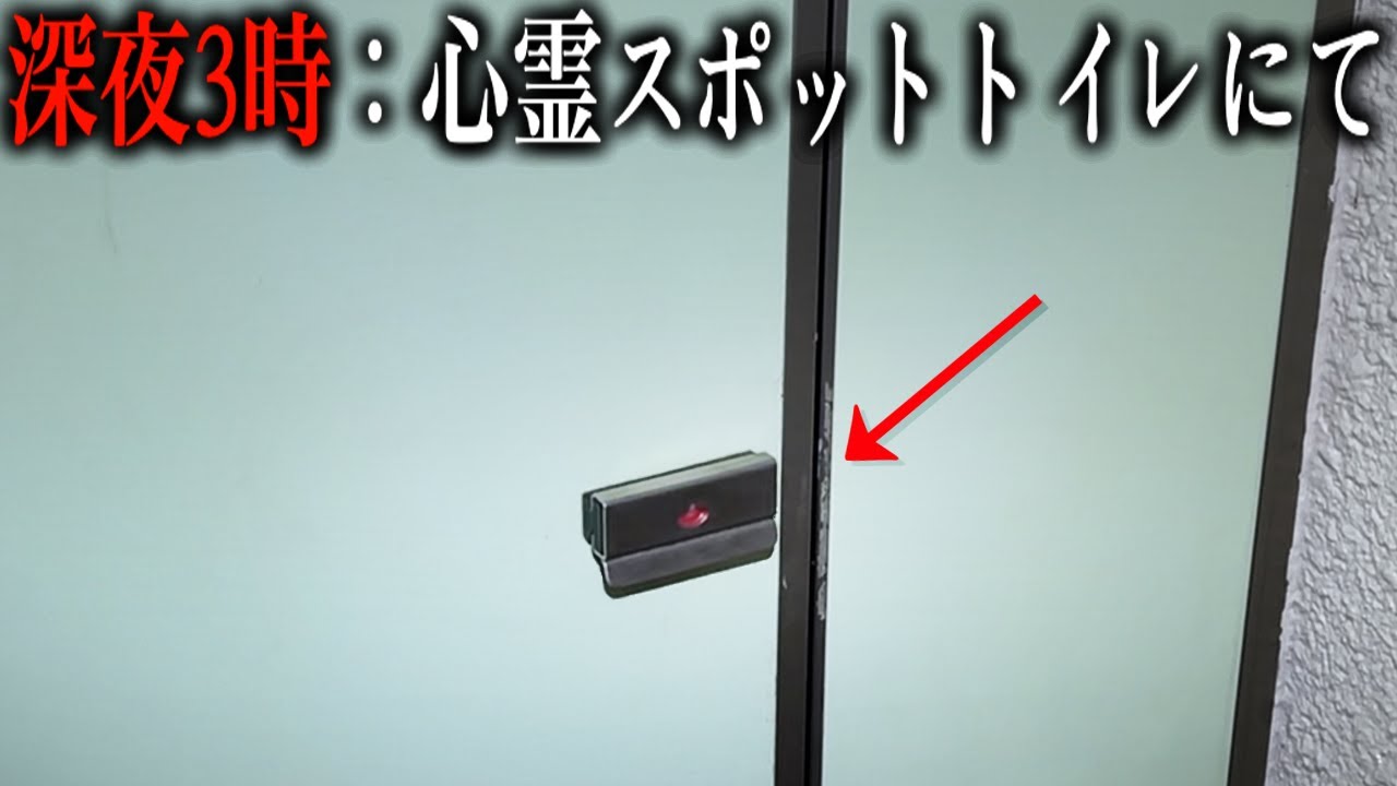 待ってたら出てきました。【〇〇が多過ぎる心霊スポット：八幡山公園】