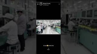 Foxlink Apple Company Disaster