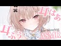 【asmr】久々の耳ふーで脳みそからリラックスASMR💤/Ear blowing 【戸鎖くくり/個人勢Vtuber】