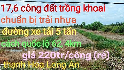 Nhà đất bán đất ruộng lúa vườn, dt 17,6 công, giá 220tr/công, thạnh hóa, Long An. sđt 0815671550.