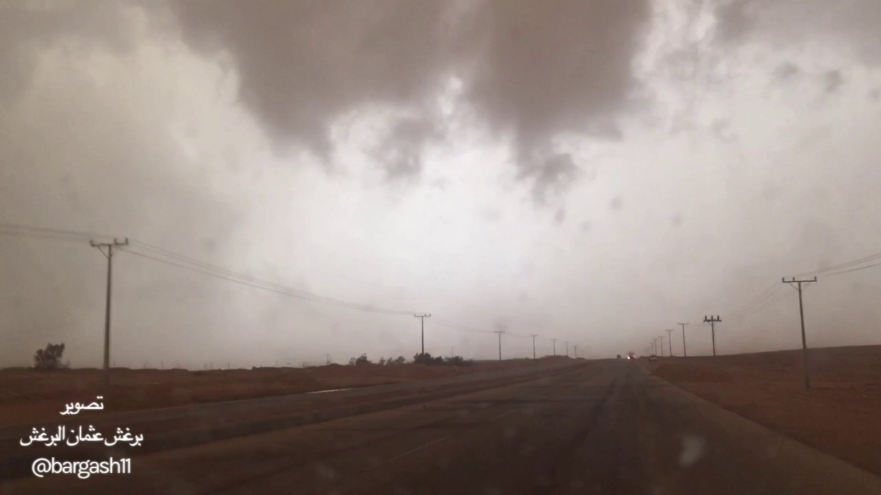 بردية ابا الرخم التاريخيه  شمال مدينة تمير