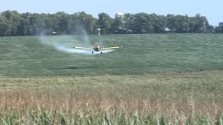 Your Food: Pesticides on fruits and vegetables Net Worth