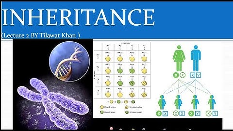 Inheritance Lecture 2 (Last) IGCSE Biology