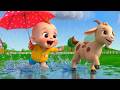 Rain Rain Go Away + More Kids Songs & Nursery Rhymes - Cartoon Nick - कार्टून - kartun
