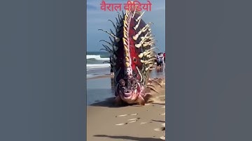 Anil Kumar Sharma-200k south video dekhe video Kitna achcha Hansi wala