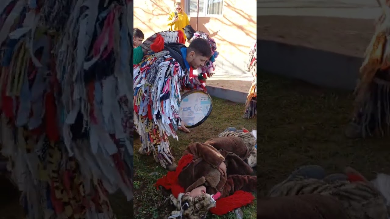 Ursul de la Țibucani de Sus 31.12.2022.