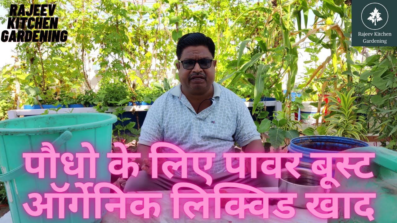कैसे बनाएं घर पर ऑर्गेनिक खाद || Power boost khad || organic liquid fertilizer || By Rajeev Kumar ||