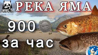🌟РЕКА ЯМА🌟900 СЕРЫ И 1,5 МИЛЛИОНА ОПЫТА ЗА ЧАС🌟Русская Рыбалка 4(РР4)🌟
