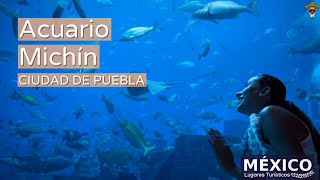 Aquarium Michin of Puebla | One of the most important and modern aquariums in Mexico.