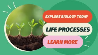 First Bell 3.0 STD 9 BIOLOGY To Life Processes EPI 2