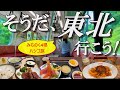 【過酷】在来線を駆使した周遊が大変過ぎた。【宇都宮→福島→山形→仙台＆岩手】