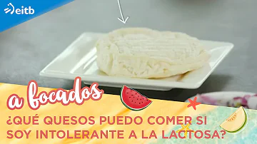 ¿Qué quesos no contienen lácteos?