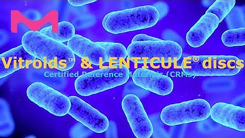 Explore our Vitroids™ and LENTICULE® Discs