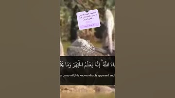 قران كريم سورة الأعلى 🤲تلاوة مليئة بالخشوع والطمأنينة 🎧❤️#اكسبلور