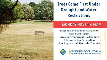 Trees Come First Under Drought and Water Restrictions