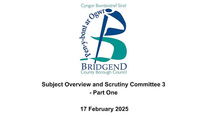 Subject Overview and Scrutiny Committee 3 - 17 February 2025 - Part One