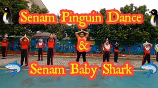Senam Pinguin Dance \u0026 Senam Baby Shark
