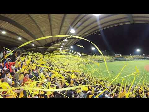 [ 360度影片，可拉畫面轉角度] 中華職棒 總冠軍賽 GAME 4 2021-12-01 統一 VS 兄弟 德寶拉再見三振 台南球場陷入黃海