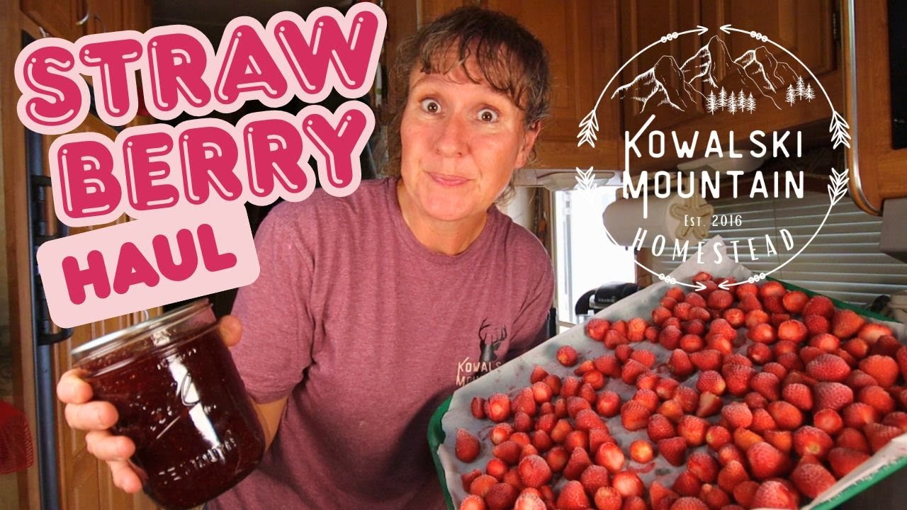 From Farm to Table: Homemade Strawberry Jam & Fruit Leather!
