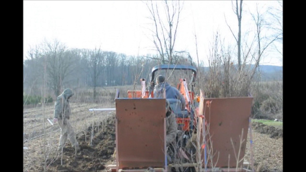 How We PLant Small Dogwood Trees Actual Planting With a Tree Planter