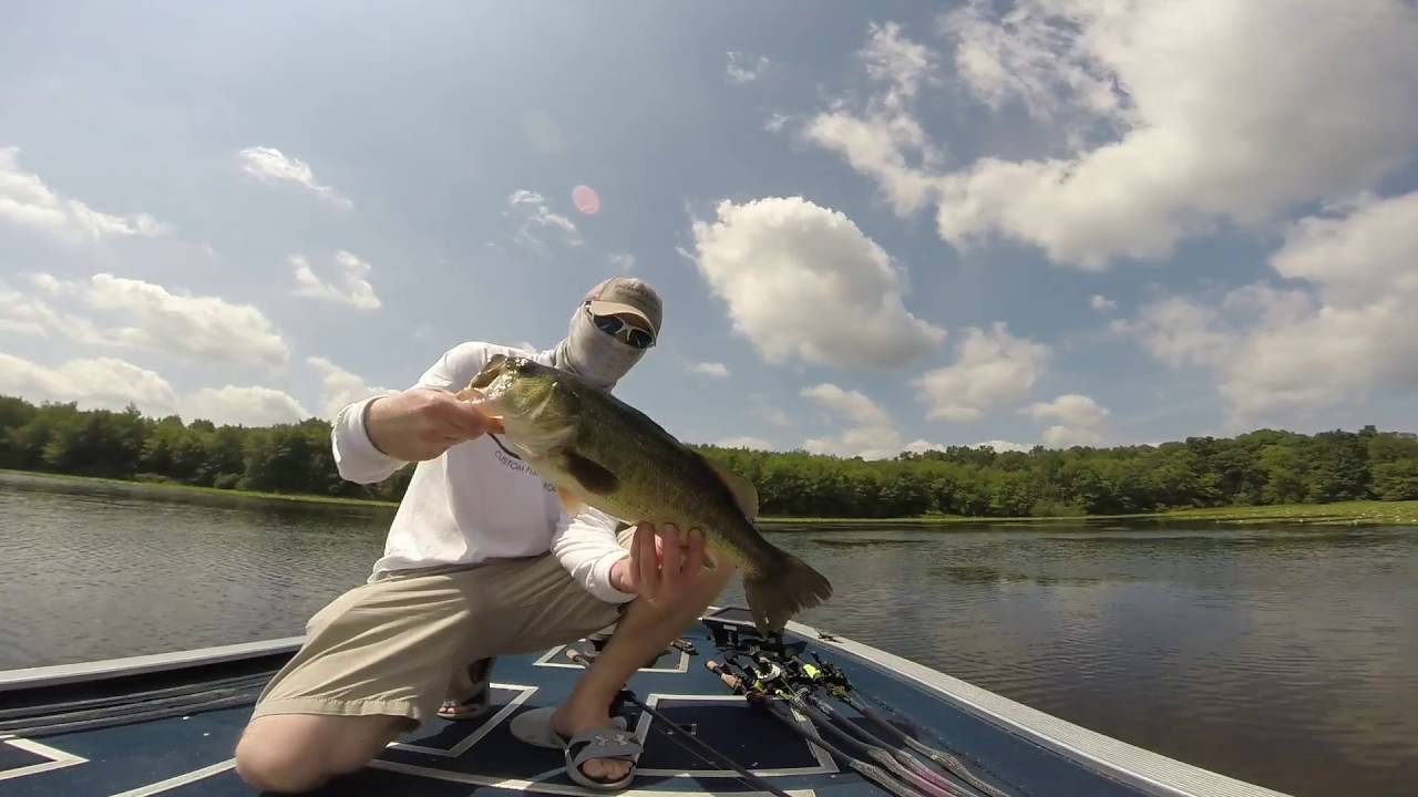 Big Largemouth Bass In Lily Pads Lake Nockamixon YouTube