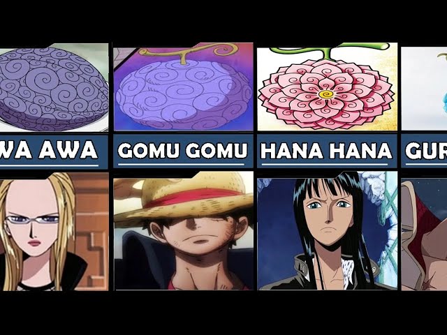 Nico Robin's Insane Devil Fruit Powers Explained!, Hana Hana no Mi