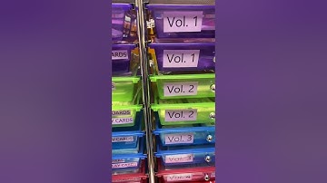 Bridges organization