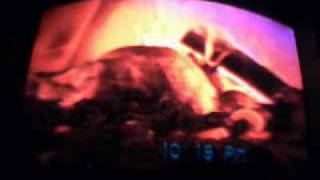 Shaw Christmas Turkey